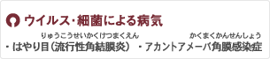 ウイルス・細菌による病気